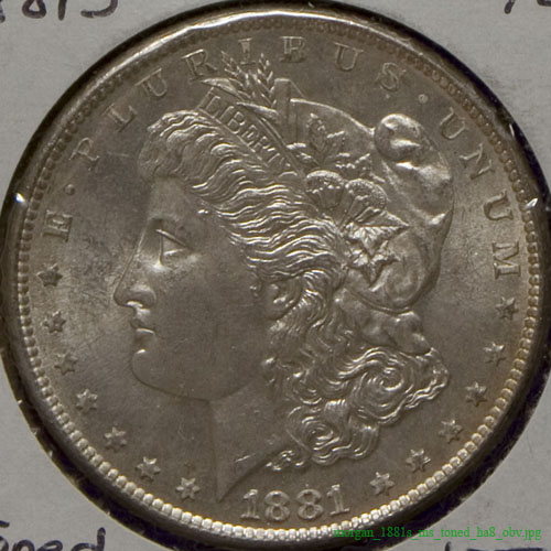 morgan_1881s_ms_toned_ha8_obv