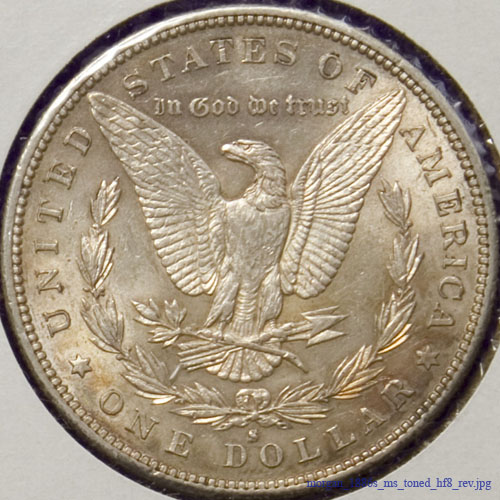 morgan_1886s_ms_toned_hf8_rev