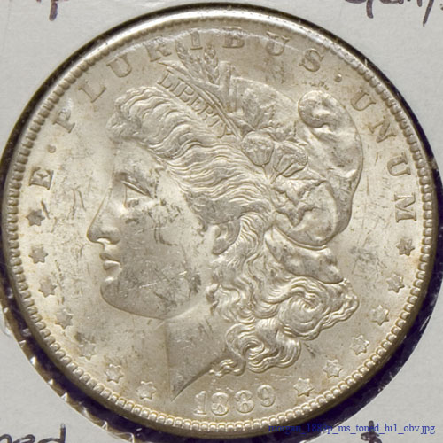 morgan_1889p_ms_toned_hi1_obv