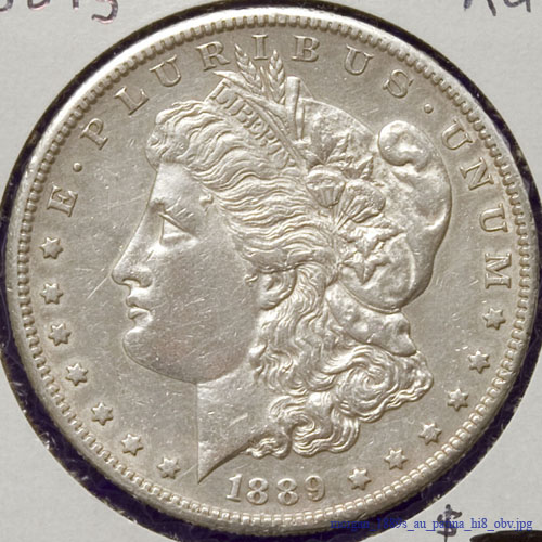 morgan_1889s_au_patina_hi8_obv