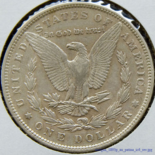 morgan_1893p_au_patina_ic6_rev
