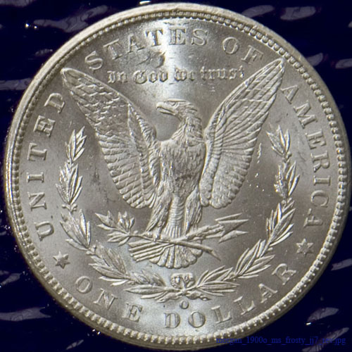 morgan_1900o_ms_frosty_jj7_rev