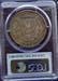 morgan_1901p_xf_pcgs_patina_ja6a_rev
