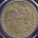 morgan_1902s_au53_pcgs_toned_jb8_obv