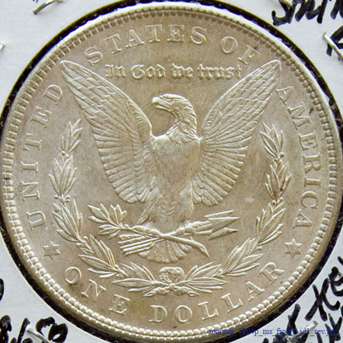 morgan_1904p_ms_frosty_jd1_rev